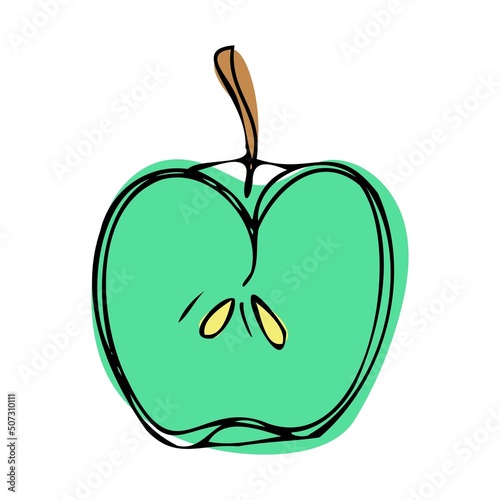Illustration in graphic style. apple in section. hand drawing. illustration on white background. pastel colors. vector
