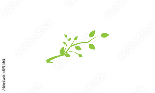 Simple Leaf Plant Symbol Designs