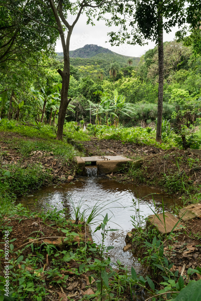 Fototapeta premium Linda nascente em quintal de sítio, localizado em meio a muita vegetação na região de Igarapé, Minas Gerais, Brasil.