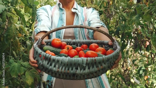 Basket with vegetables (cabbage, carrots, cucumbers, radish and peppers) in the hands of a farmer background of nature Concept of biological, bio products, bio ecology, grown by yourself, vegetarians.