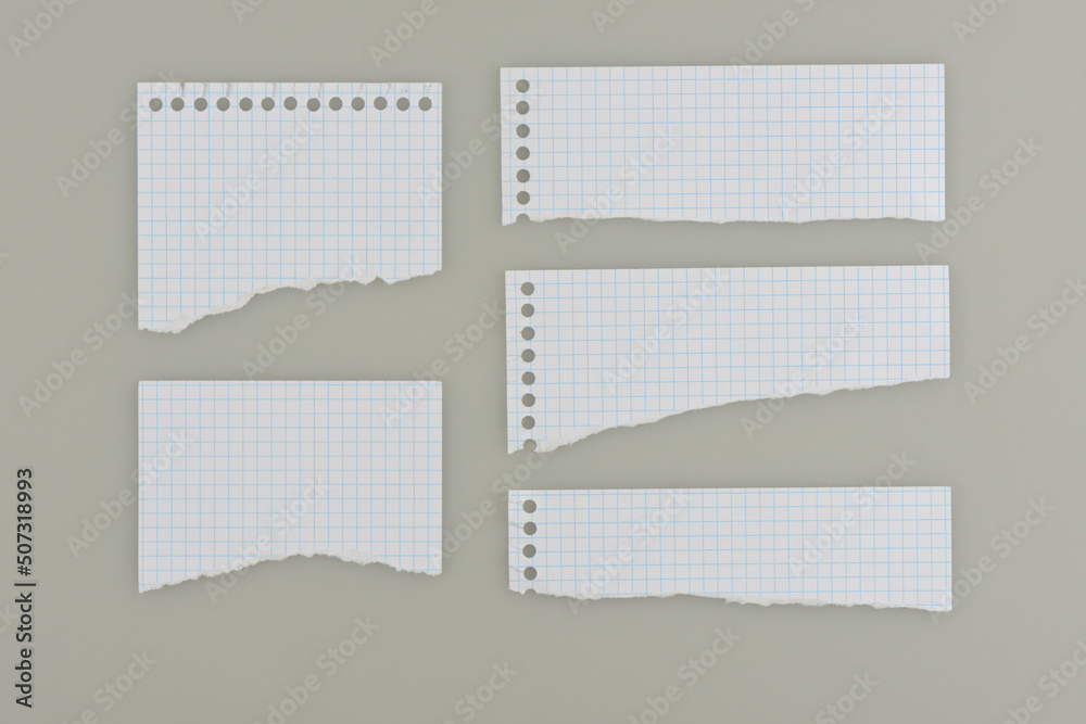 Trozos de papel de una libreta con dibujo de cuadricula recortados, sobre  fondo gris foto de Stock