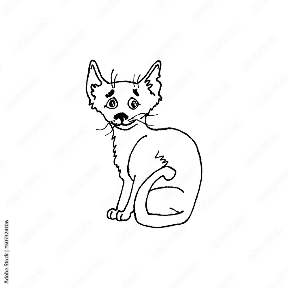 Hand drawn skinny white cat isolated on background