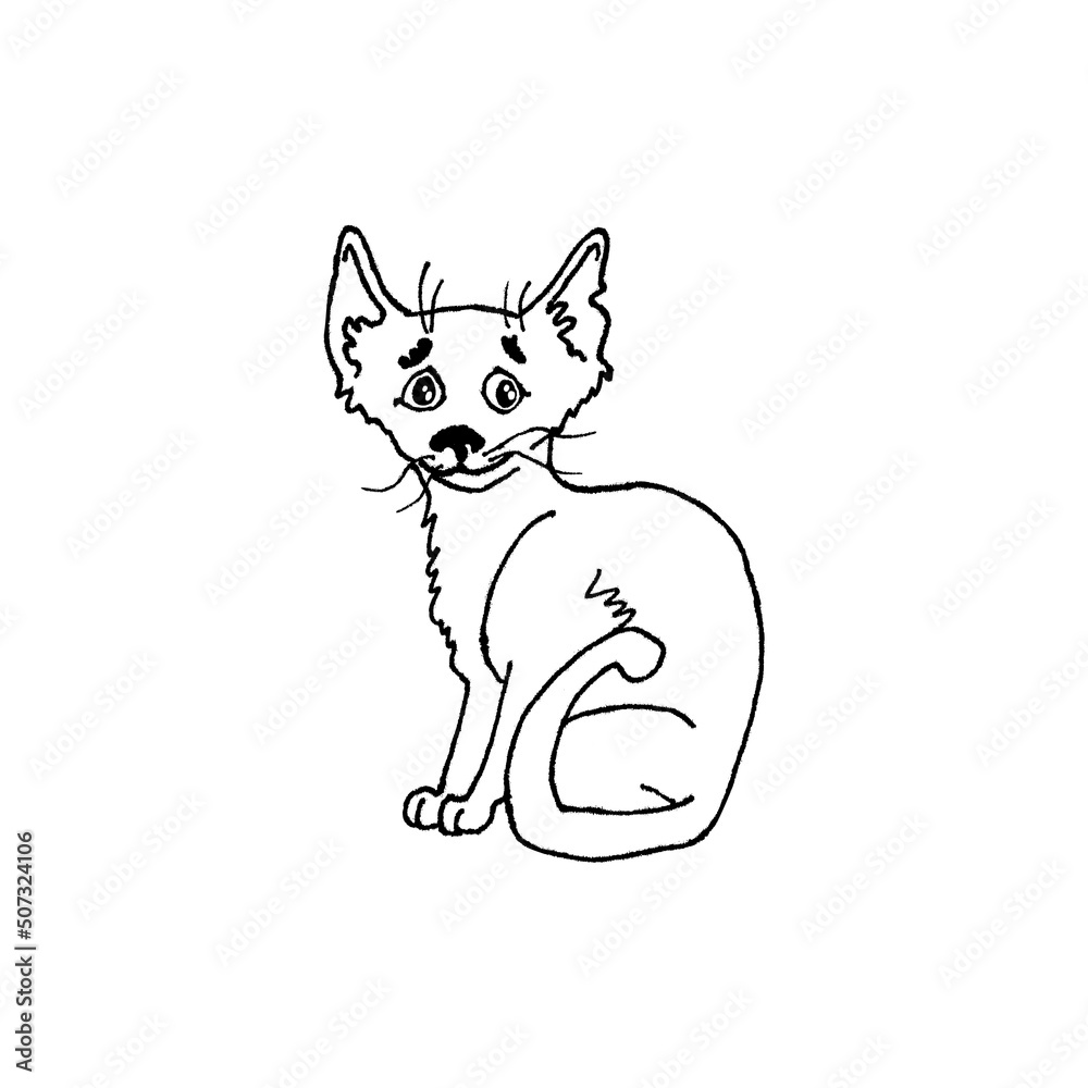 Hand drawn skinny white cat isolated on background Hand drawn skinny white cat isolated on background