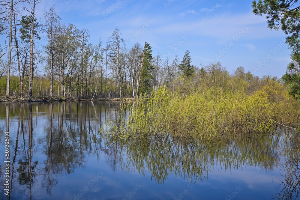 Spring day on the forest river. Spring day on the forest river.