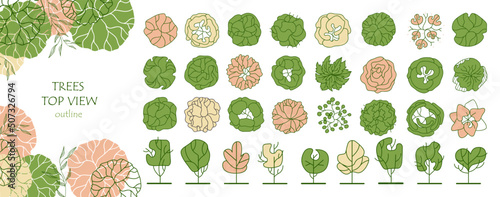 Set of vector trees. Entourage design for the plan. Various trees, bushes, and shrubs, top view for the landscape design plan. Vector illustration.