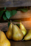 group of ripe pears lie on old planed wooden boards.