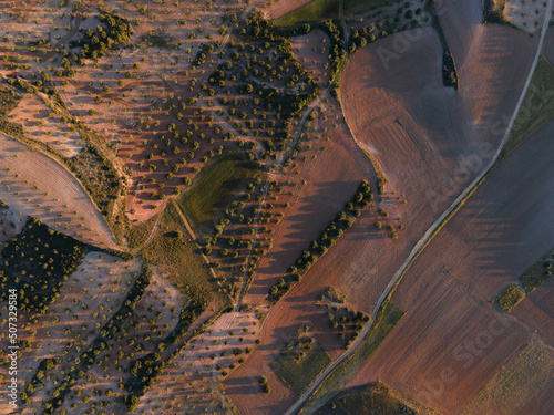 Zenithal drone view of mosaic crop mosaic of olive groves in extensive and intensive agriculture