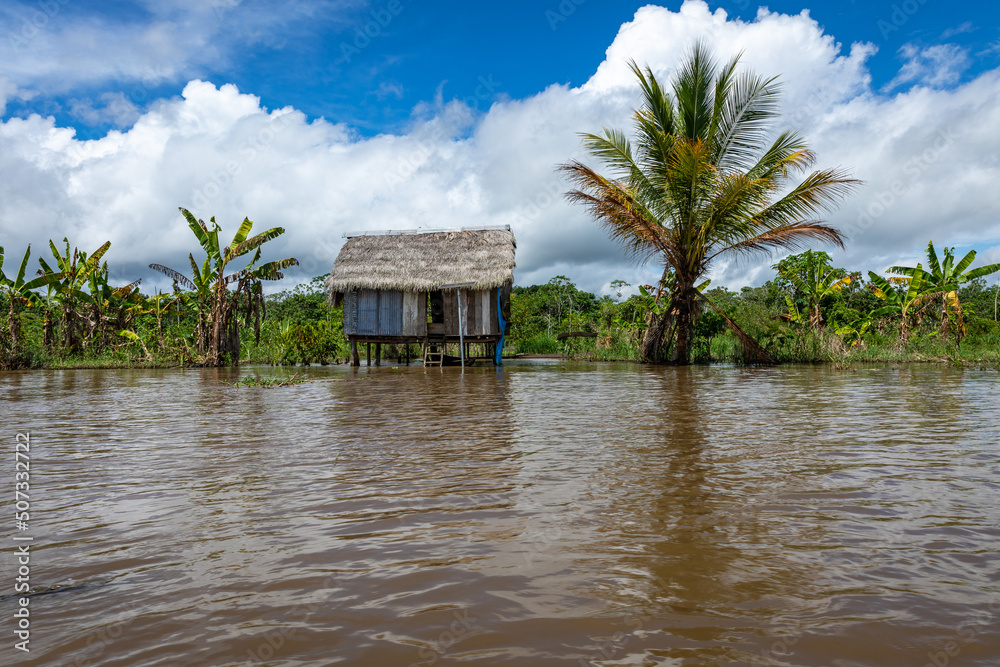 Amazon Rainforest Riverbank. Sailing down river Yanayacu at the Amazon jungle, near Iquitos, Peru. South America. Amazon Rainforest Riverbank. Sailing down river Yanayacu at the Amazon jungle, near Iquitos, Peru. South America.