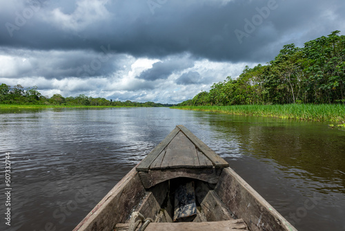 Fototapeta Naklejka Na Ścianę i Meble -  Amazon Rainforest Riverbank. Sailing down river Yanayacu at the Amazon jungle, near Iquitos, Peru. South America. 