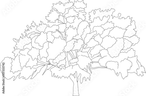 Large vector tree cutout illustration. Flat vector vegetation illustration. 