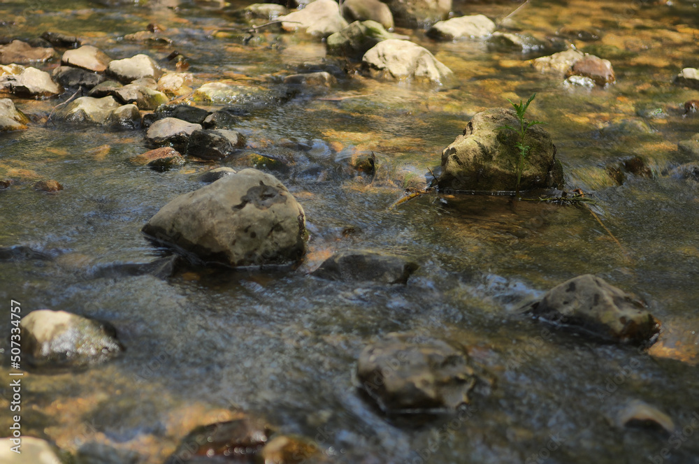 Brooks bank in northern Israel. Ayun Stream Nature Reserve Brooks bank in northern Israel. Ayun Stream Nature Reserve