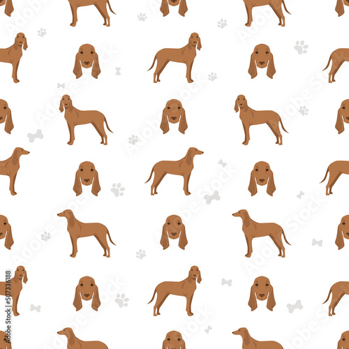 Apennine hound clipart. Different poses  coat colors set