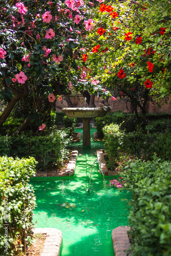 Wallpaper Mural Tropical flowers in Malaga center Torontodigital.ca