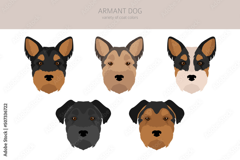 Armant dog clipart. Different poses, coat colors set