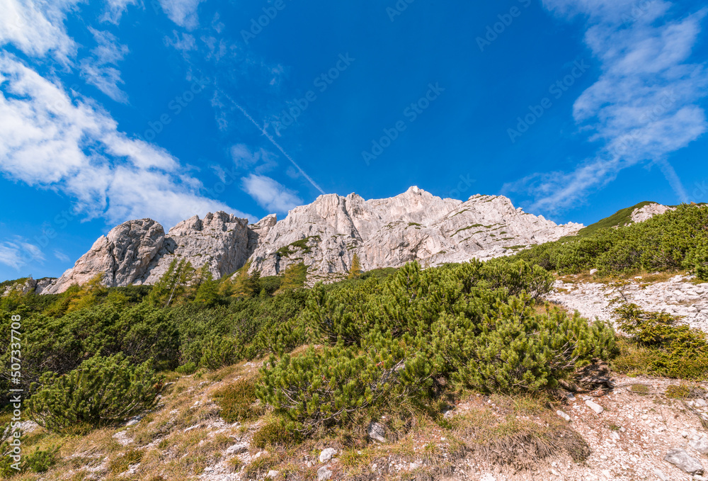Fototapeta premium Hiking in the beautiful forest of the Alps. This is a path from mountain pass Vrsic to Slemenova spica with the look on Jalovec mountain.
