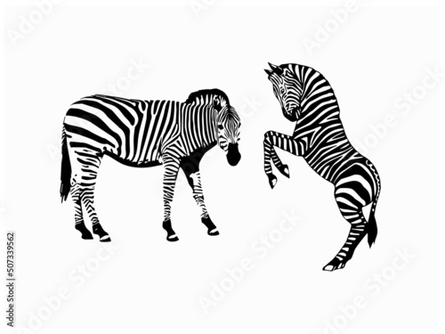 Zebra Royalty Vector Illustration Stock Vector Image for Free EPS