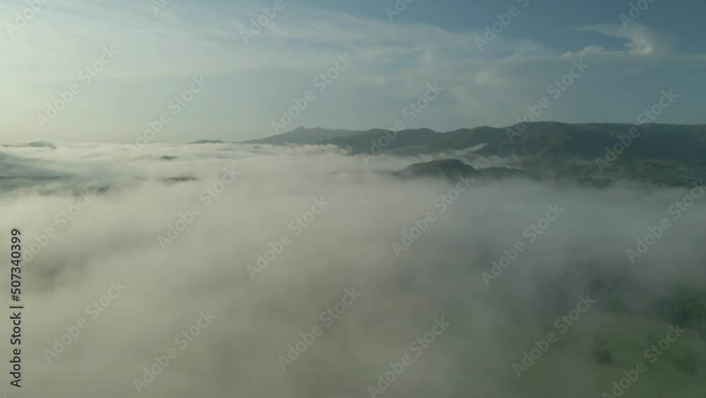 Foggy green forest of spruce trees and sunrise rays shining through branches in autumn mountains. misty in nature. landscape clips Foggy green forest of spruce trees and sunrise rays shining through branches in autumn mountains. misty in nature. landscape clips