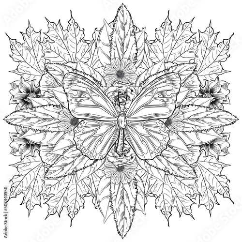 Hand drawn Decorative butterfly with florals for the anti stress coloring page.
