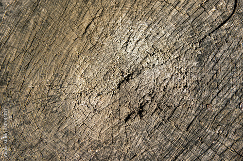 old wood background