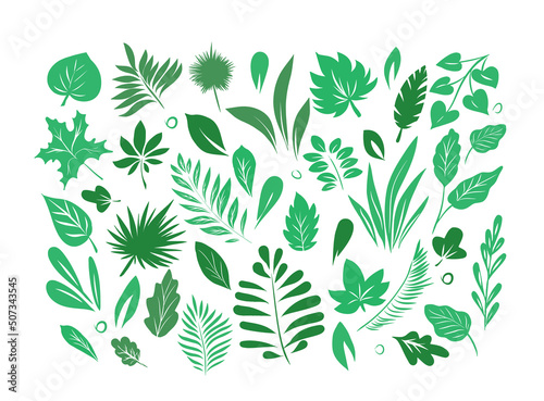 Vector illustration set of leaves isolated on a white background. Colorful collection of plants. Botanical elements for cosmetics  spa  cosmetics.Hand made.