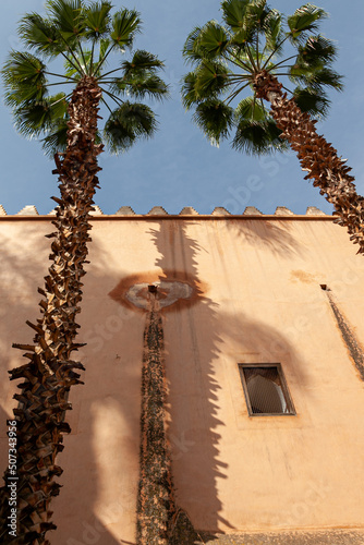 decoration with arabic motifs an palms tree on a wall of the Moroccan palace of la Bahia