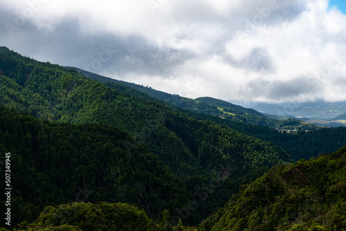 Foggy forest with green fields on a summer afternoon in the Island of São Miguel in the Azores.
