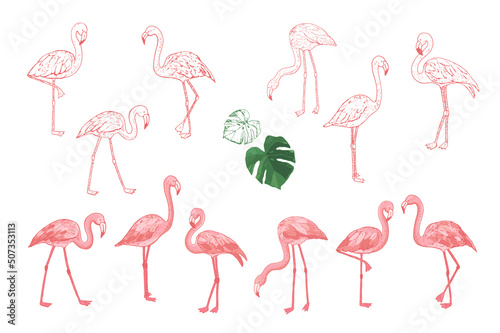 Flamingo pink birds vector illustrations line set © GooseFrol