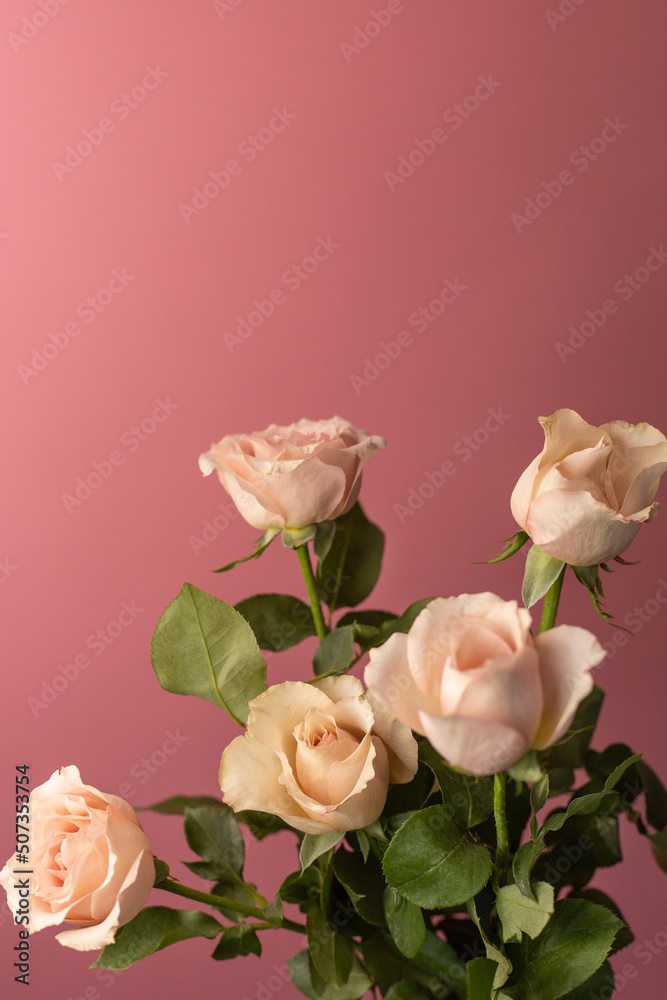 custom made wallpaper toronto digitalBouquet of tea roses on a pink background
