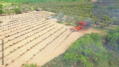 farmers burning  branches after pruning  olive trees in an olive grove close to a vineyar. Aerial view. Bargota, Navarre, Spain, Europe.. Agriculture concept. photo