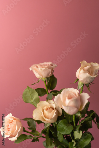 Wallpaper Mural Bouquet of tea roses on a pink background Torontodigital.ca