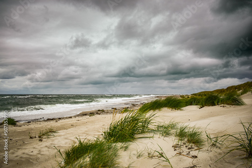 Coast