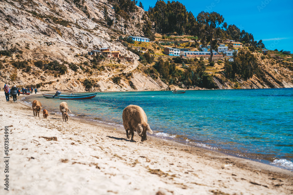 Fototapeta premium isla