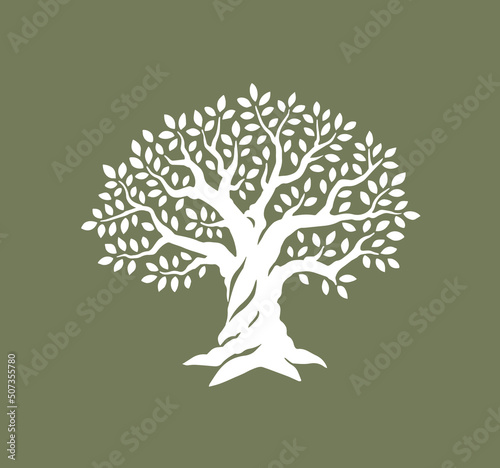 Olive or oak tree. Design vector template