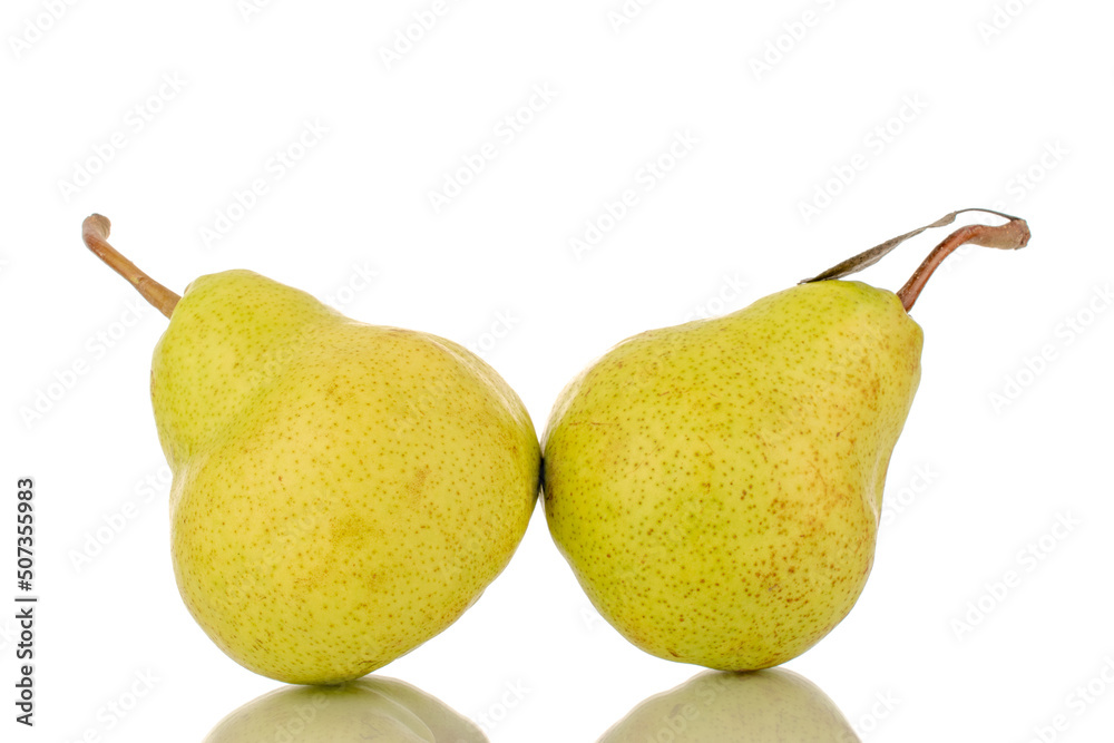 Two juicy bright yellow pears, close-up, isolated on a white background. Two juicy bright yellow pears, close-up, isolated on a white background.
