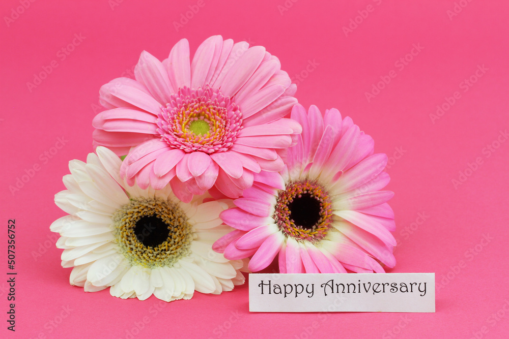 Happy Anniversary card with three pink and white gerbera daisies on pink background