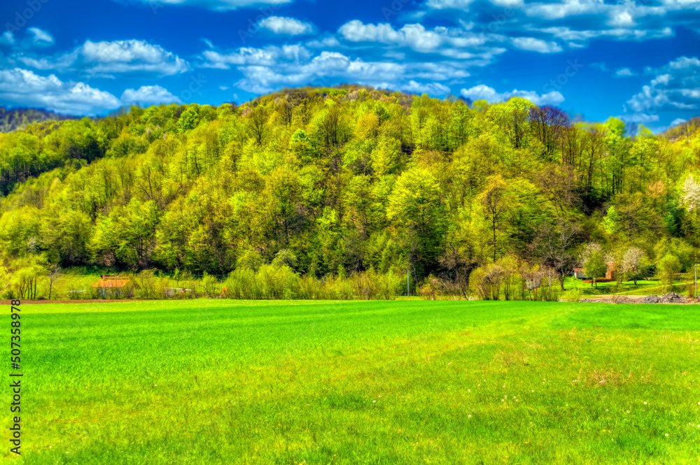 Fototapeta premium Country side landscape of agricultural field surrounded by forest during sunny day.