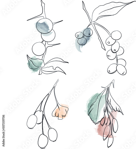 Set of hand-drawn branches with leaves and berries