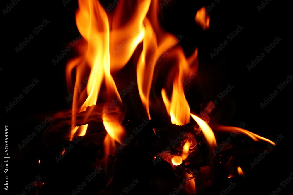 The orange flames of the campfire.
Pomarańczowe płomienie ogniska. - obrazy, fototapety, plakaty 
