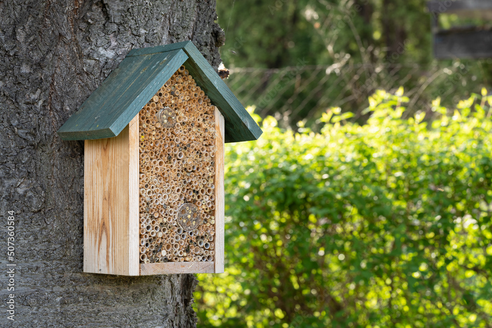 Pollinator hotel attached to a tree trunk providing habitat for cavity-nesting bees. Insect hotel attracting solitary bees and bugs Pollinator hotel attached to a tree trunk providing habitat for cavity-nesting bees. Insect hotel attracting solitary bees and bugs