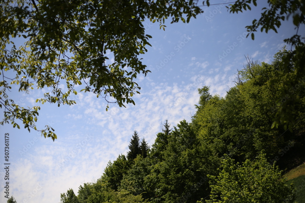 Fototapeta premium Beautiful View