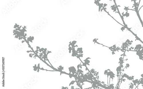 Shadow from vegetation on the wall vector silhouette. Tree branch or bush vector shape