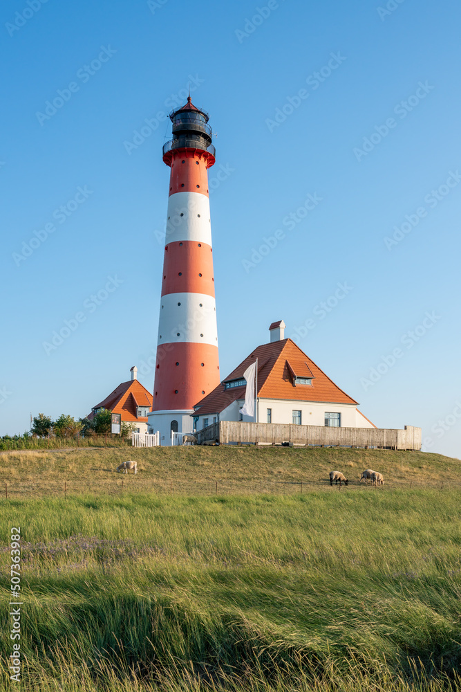 Westerheversand Lighthouse and Salzwiesen (salt marsh) in summer, Westerhever, Nordfriesland, Schleswig-Holstein, Germany Westerheversand Lighthouse and Salzwiesen (salt marsh) in summer, Westerhever, Nordfriesland, Schleswig-Holstein, Germany