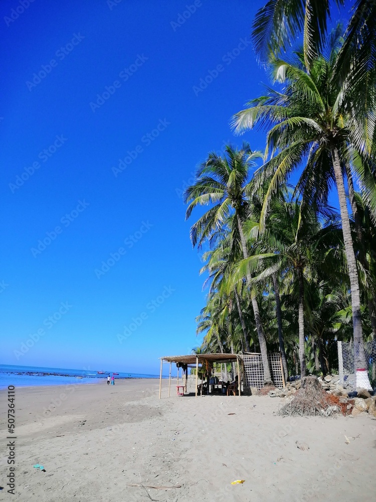 Obraz premium beach with palm trees