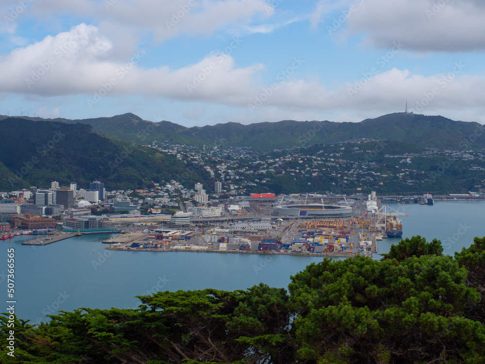 View Of Wellington Port And City