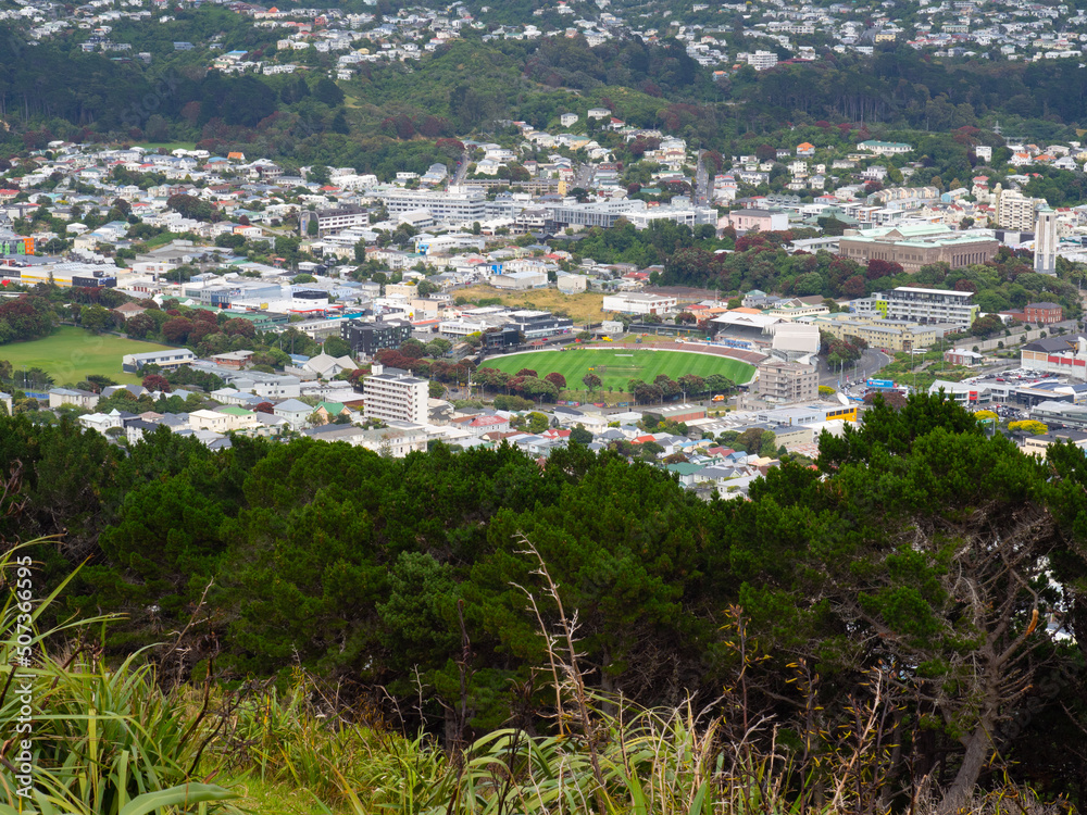 Obraz premium View Down Onto Wellington