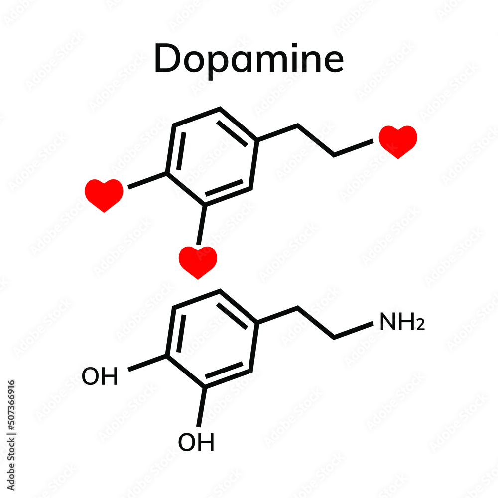 Hormones of love and happiness Hormones of love and happiness