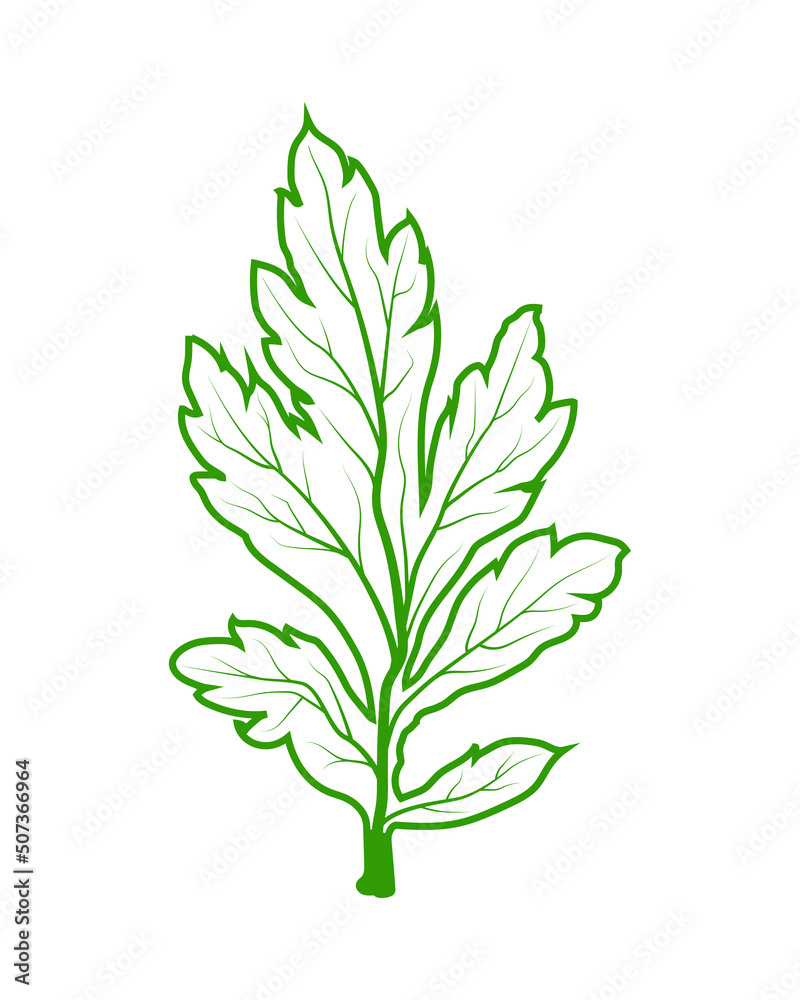 leaf veins texture. green leaf veins vector illustration. silhouettes, texture leaf. leaf veins texture. green leaf veins vector illustration. silhouettes, texture leaf.