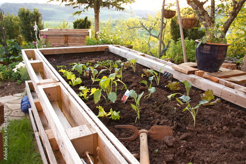 Blühender Garten mit Hochbeet