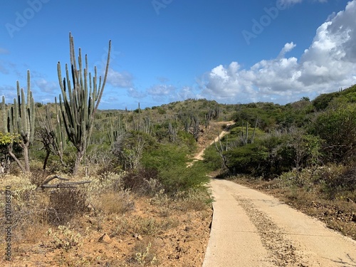 dirt road in the mountains with cactus on bonaire dutch caribbean 