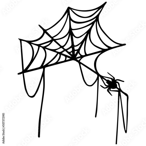 Linear sketch of a web with a spider.Vector graphics.